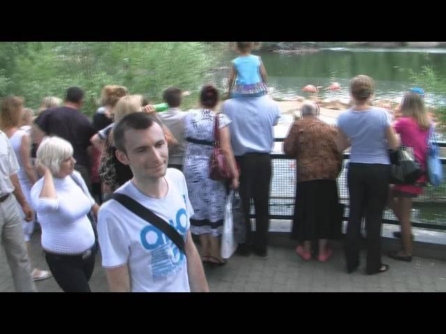 Прогулки по Москве- Московский зоопарк, дельфинарий