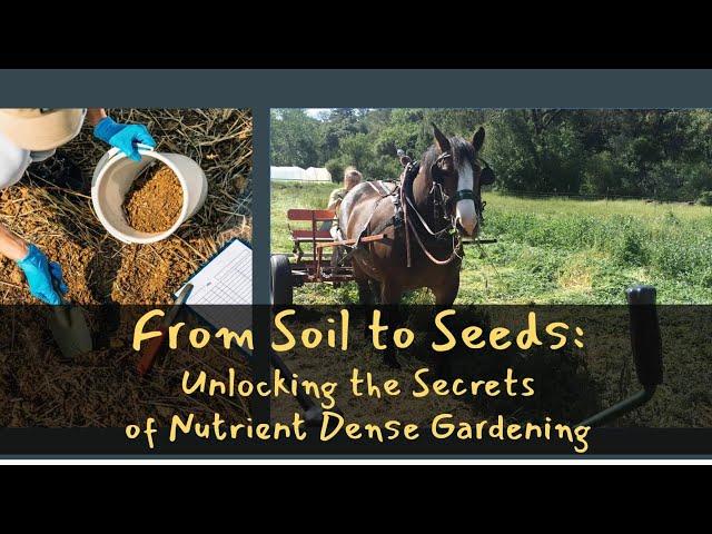 From Soil to Seeds: Unlocking the Secrets of Nutrient Dense Gardening