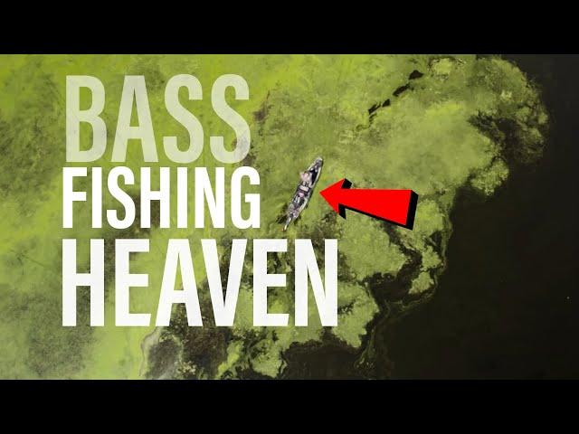 Late SUMMER Bass Fishing | CATCH MORE in SEPTEMBER