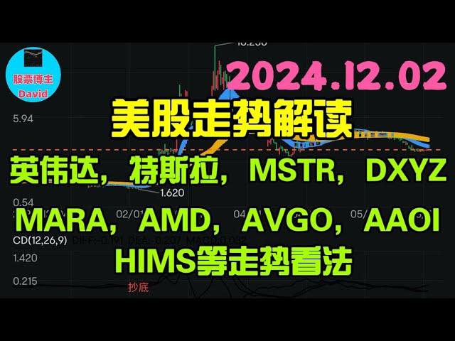 12月3日，美股即时走势解读，特斯拉、英伟达、MSTR、DXYZ、MARA、AMD、AVGO、AAOI、HIMS、等走势看法️️ #美股推荐2024 #英伟达股票 #特斯拉股票 #美股 #美股大涨