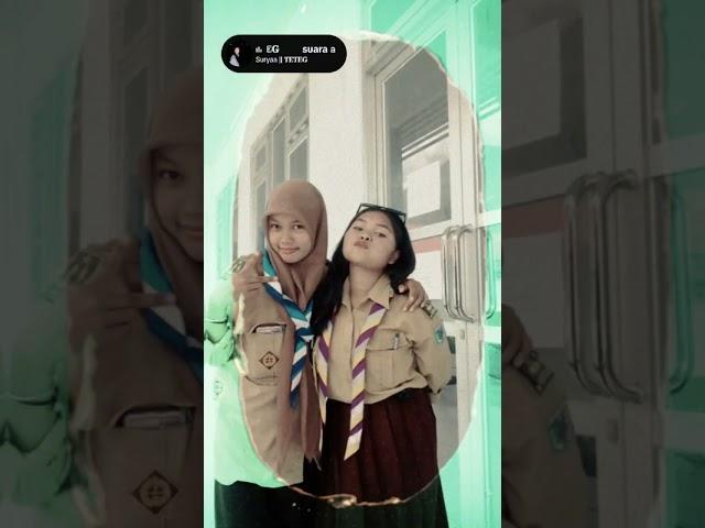 Silfa baya