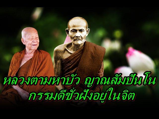 หลวงตามหาบัว ญาณสัมปันโน  กรรมดีชั่วฝังอยู่ในจิต