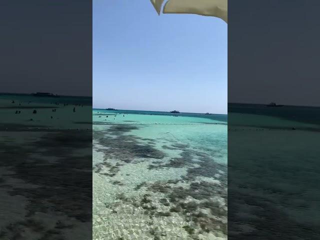مش هتصدق إن المكان ده عندنا في مصر   #shorts