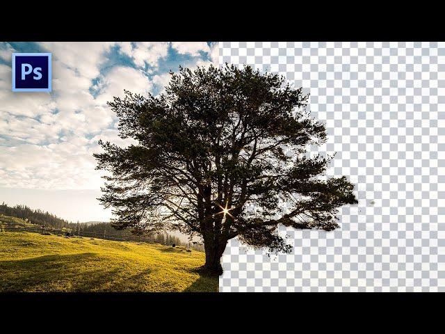 How To Remove Backgrounds In Photoshop 2021 [For Beginners!]