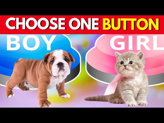 CHOOSE ONE BUTTON! BOY or GIRL Edition Quizfinity8 video