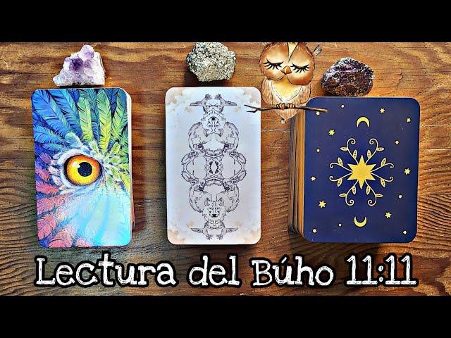 Lectura del Búho 11:11  Elige tú carta