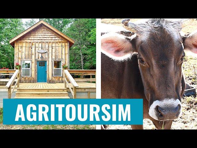 See How Agritourism is Transforming Local Farms and Boosting Entrepreneurship!