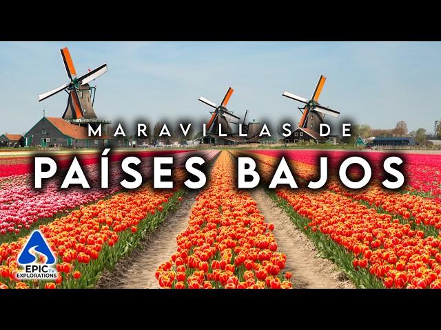 MARAVILLAS DE LOS PAÍSES BAJOS | Los Lugares Más Hermosos y Curiosidades | Guía de Viaje 4K