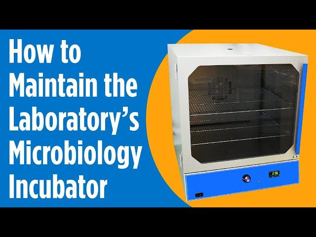 Care & Cleaning - How to Maintain the Laboratory’s Microbiology Incubator - Hardy Diagnostics