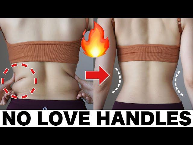 Love Handle Workout | 8 min Abs & Obliques Burn Home Workout