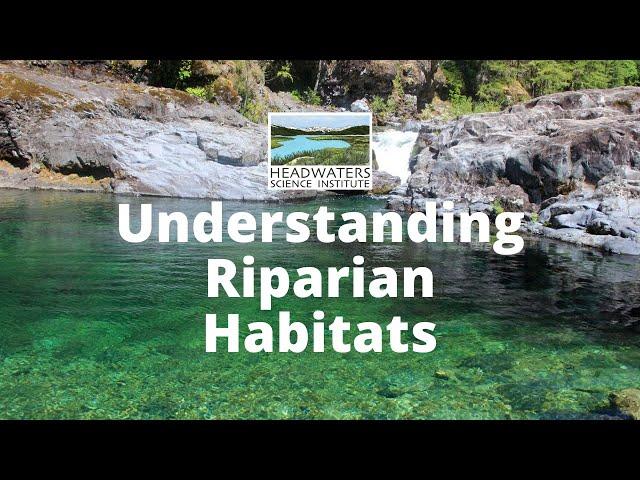 Weekly Science Challenge: Understanding Riparian Habitats