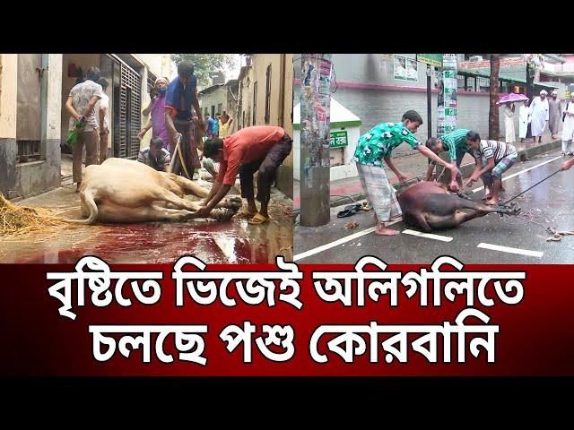 বৃষ্টিতে ভিজেই রাজধানীর অলিগলিতে চলছে পশু কোরবানি | Qurbani Eid | Bangla News | Mytv News