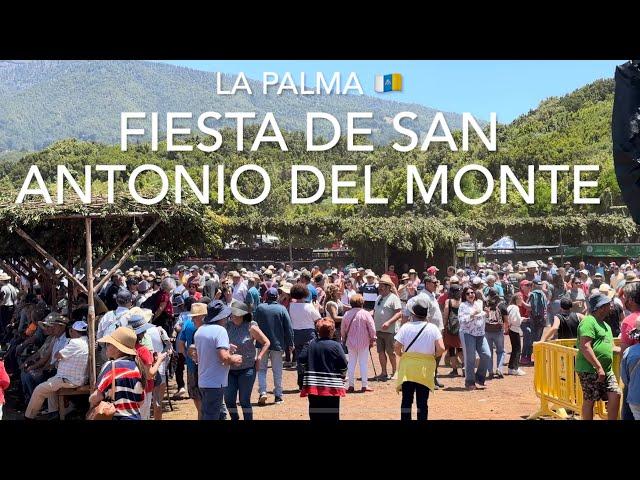 Fiesta de San Antonio Del Monte 2023, La Palma (4K)