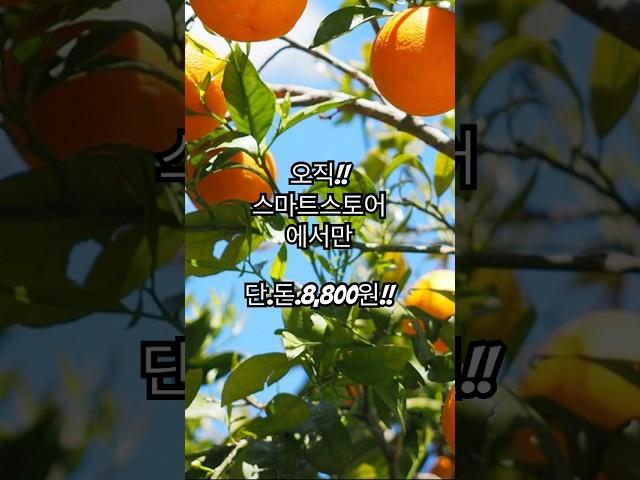 과즙팡팡비타민충전 지금바로 구매해보세요http://smartstore.naver.com/hmlm