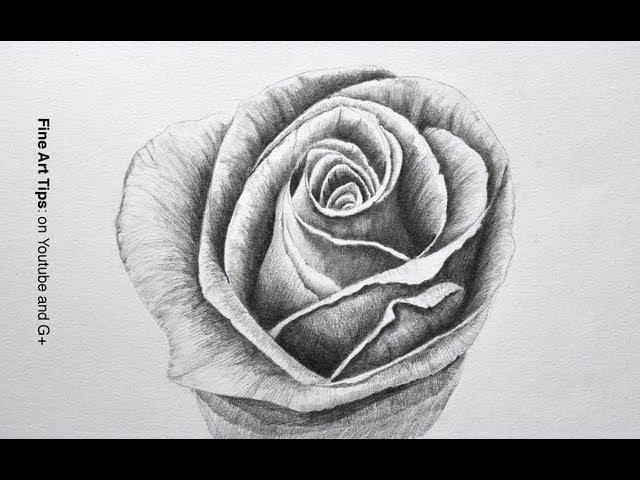 Drawing Flowers: How to Draw a Rose With Pencil - Fine Art-Tips.