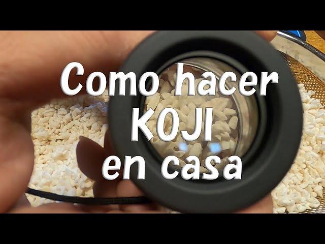 Como hacer KOJI en casa