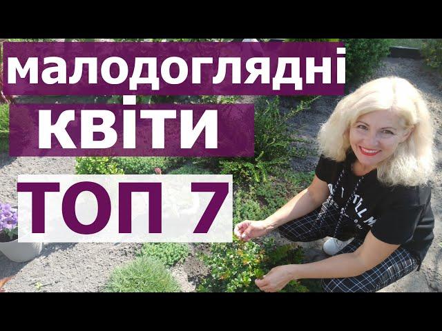 Квіти для дачі, які не вимагають особливого догляду