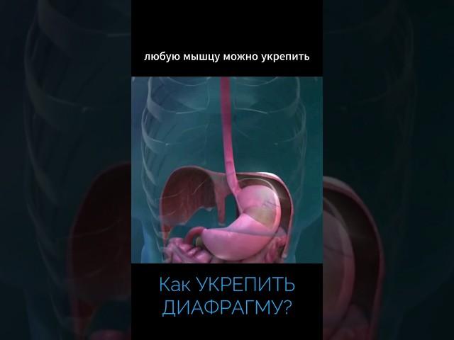 Укрепить ДИАФРАГМУ • Дыхательное упражнение от ГЭРБ • Сергей Агапкин