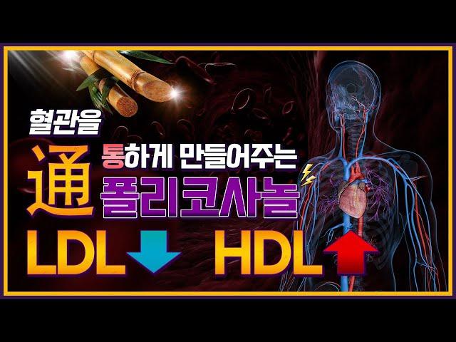 [HDL, LDL 관리] 콜레스테롤 관리는 폴리코사놀이 해결!!(혈중 콜레스테롤 낮추는 방법, 콜레스테롤이 수치, 혈행관리, 혈관을 튼튼하게, 나쁜 콜레스테롤, 좋은 콜레스테롤)