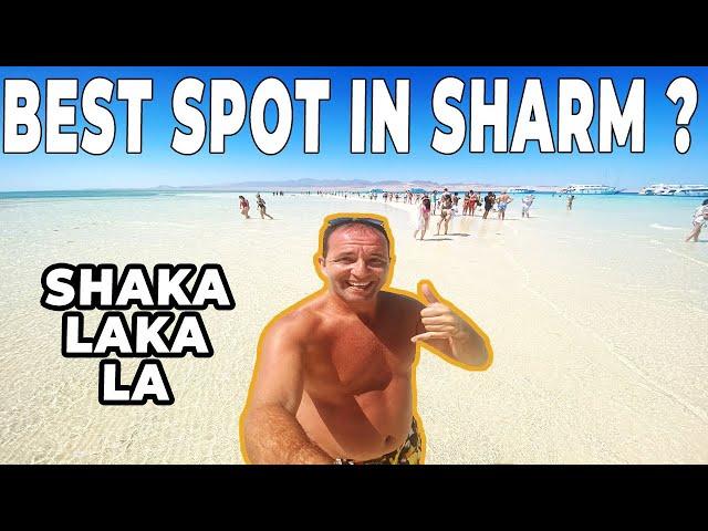 Excursion to WHITE ISLAND -  Boat Trip Ras Mohamed - Top Things to do in Sharm el Sheikh, Egypt ️