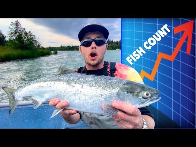 Kenai River Alaska Sockeye Salmon Fishing Report: Off The Charts Fish Count!