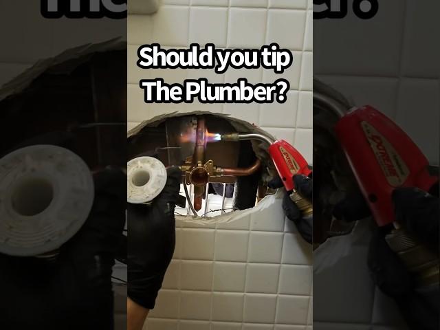 Do you tip plumbers? #plumbingservices #service #plumbing #explained