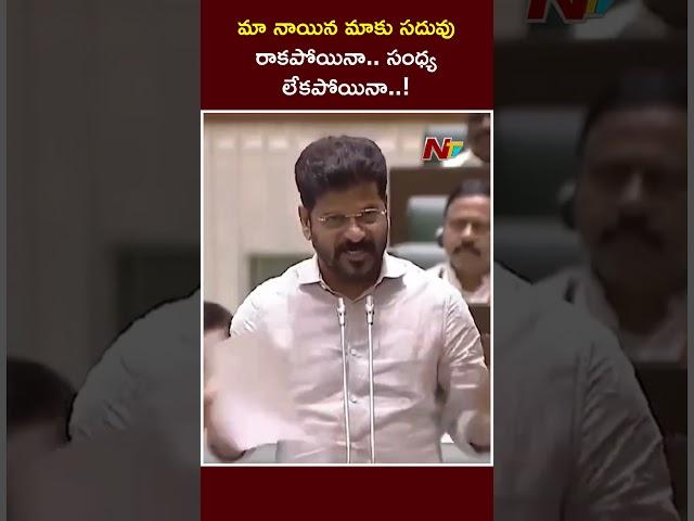 CM Revanth Reddy satires on KTR in Assembly | Ntv