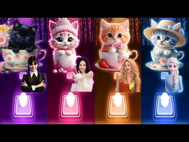 Cute Cats Dance | Wednesday Bloody Mary | Jisoo Flower | Shakira Waka Waka | Elsa Enemy | Songs Cats