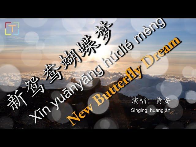 新鸳鸯蝴蝶梦 - Xīn yuānyāng húdié mèng - New Butterfly Dream WITH PINYIN & LYRICS