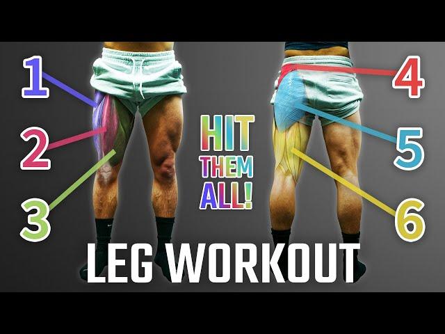 The Best Science-Based Leg Day For Growth (Quads/Glutes/Hamstrings) | PUSH PULL LEGS SERIES