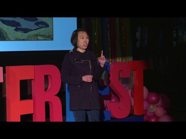 2018 Monash 3MT finalist - Mei Zi Tan, Law