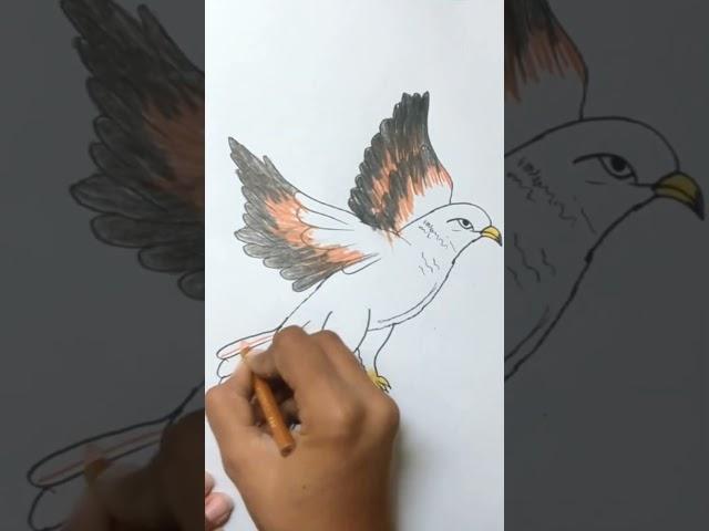 Drawing Of Eagle #short #youtubeshorts #drawing