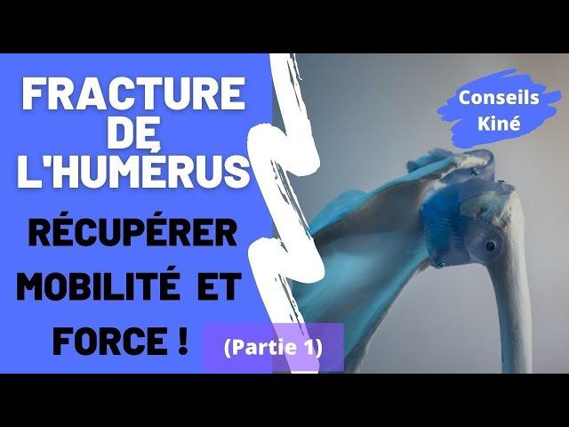 Fracture de l’humérus  : kinésithérapie et auto-mobilisations de l’épaule (PARTIE 1)