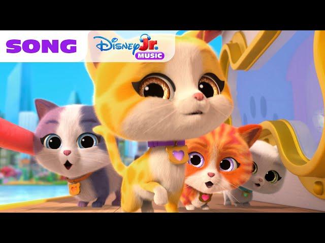 SuperKitties "Friends On Board" Song  | @disneyjr