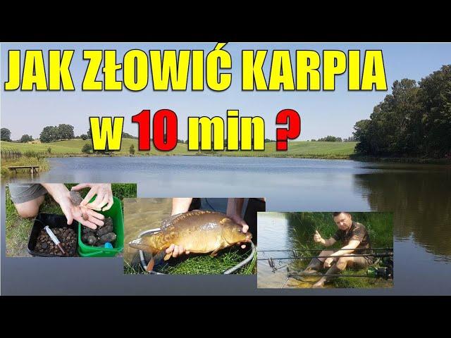 Jak złowić karpia w 10 minut?