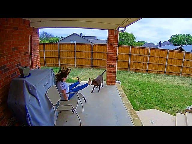 That Escalated Quickly!  Funniest Security Camera Fails