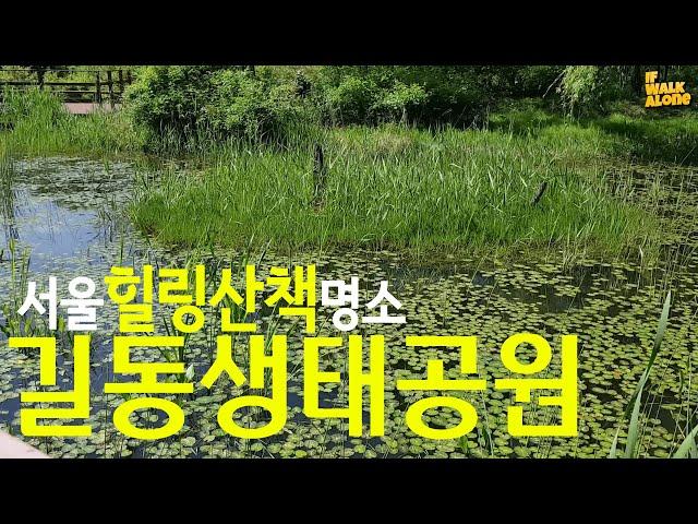 길동생태공원 |서울 힐링산책 명소 Gildong Ecological Park in Seoul /살아숨쉬는 자연생태계 위를 걷기/서울속 놀라운 공간/50년전 한국농촌풍경그대로