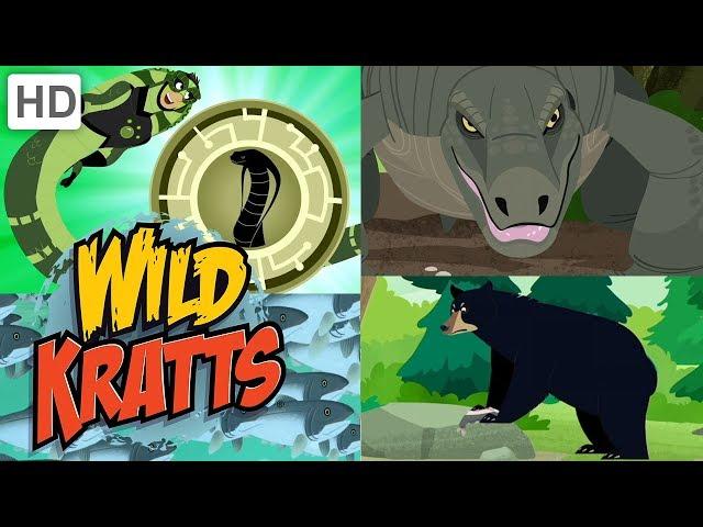 Wild Kratts  New Creature Adventures! (Part 4)  | Kids Videos