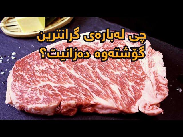 Trying japanese wagyu tenderloin | گۆشتی واگیو بۆ تایبەت و دەگمەنە؟