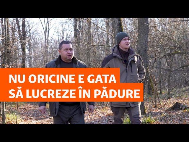 „Nu oricine e gata să lucreze în pădure”. Tot mai puțini studenți la Silvicultură