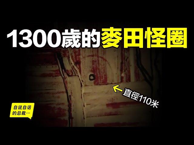 1300歲的麥田怪圈：出現在西安城西北方，竟與1300年前的神秘儀式有關？一步步破解，這背後還隱藏著一個有關帝國命運的風水密碼……|自說自話的總裁