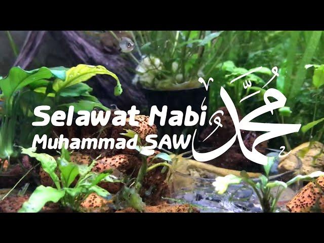 Selawat dan Salam ke Atas Junjungan Besar Nabi Muhammad SAW | Muhammad SAW | Aquarium | Merdu | Soft