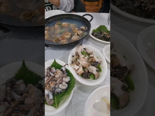 변산 격포 회센터 #변산여행 #변산반도 #변산격포항 #격포회센터 #농어회 #모둠회 #스끼다시횟집 #조개탕 #산낙지 #회맛집 #매운탕 #부부동반모임 #점심식사