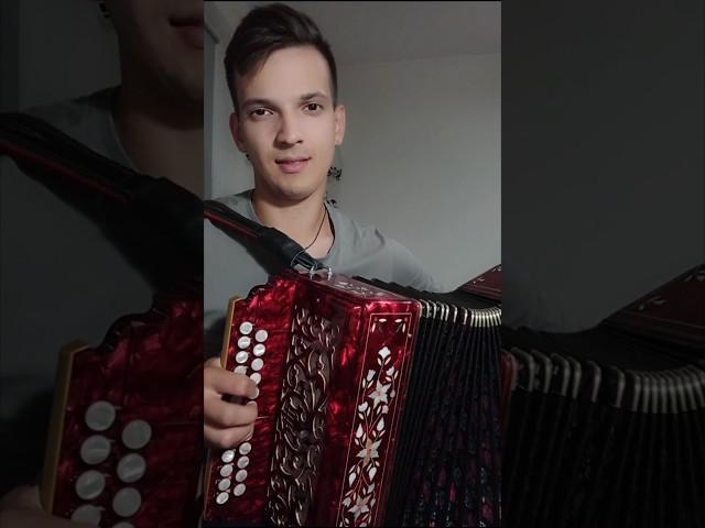 Шаньги с сёмгою жуём - По-северному #гармонь #частушка #песниподгармонь #наигрыши