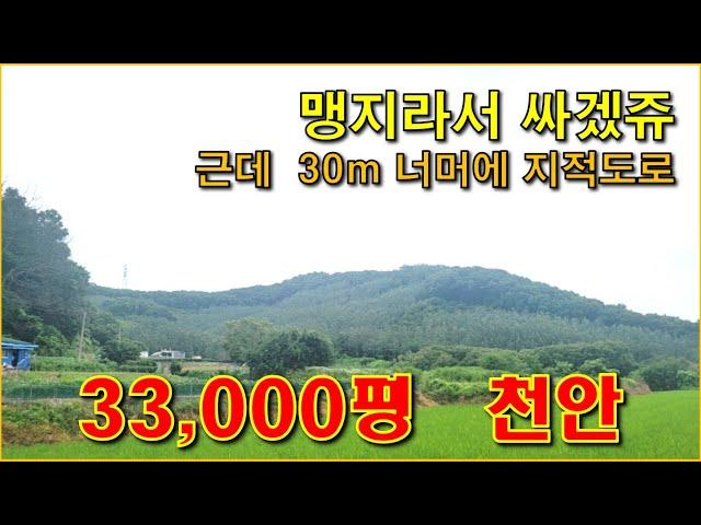 충남  천안임야  33,000평,  맹지라 싼임야, 어렵지 않게 도로 가능,  전체가 완만하고 전기/도로가 가까움,