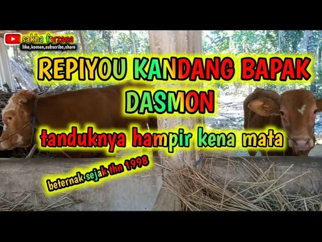 REPIYOU KANDANG BAPAK DASMON