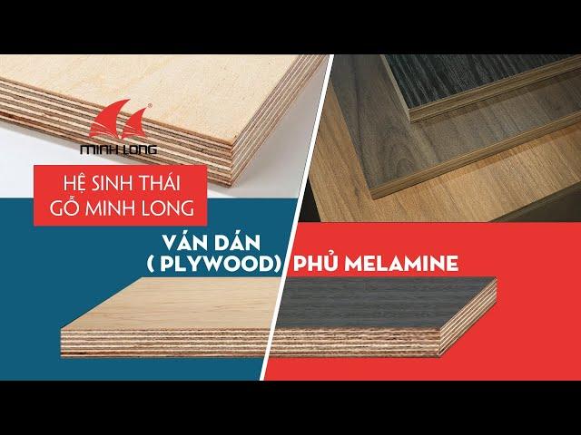 VÁN PLYWOOD PHỦ MELAMINE – VẬT LIỆU TƯƠNG LAI CỦA NỘI THẤT [HỆ SINH THÁI GỖ MINH LONG]