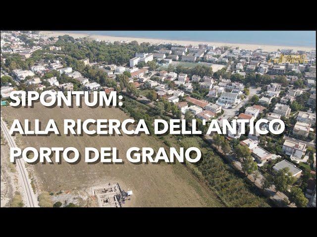 A Siponto emerge il quartiere marittimo del grande porto del grano, tra Roma e Medioevo - Puntata 3