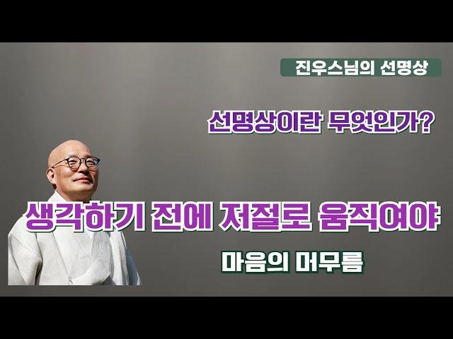 생각하기 전에 저절로 움직여야 - 선명상이란 무엇인가? - 마음의 머무름 - 진우스님의 선명상 - 법회의 인연, 평범 속의 진리 #선명상 #조계종 #진우스님