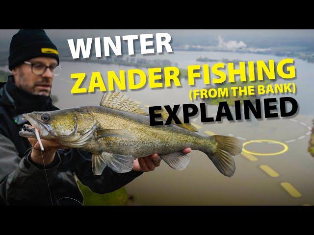 SPRO - WINTER ZANDER fishing from the BANK